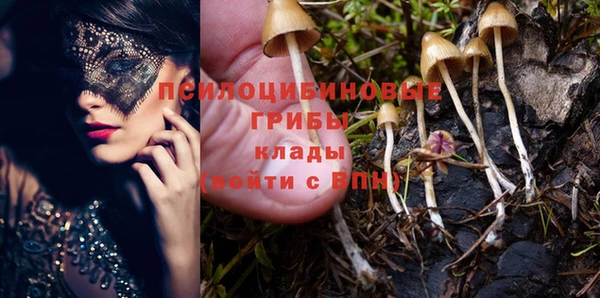 экстази Алексин