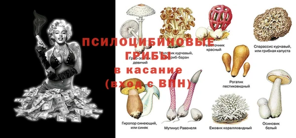 каннабис Аркадак